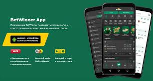 BetWinner Casino and Sportsbook Your Ultimate Betting Experience -811202308